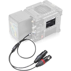 LANZYKU Dual XLR 3 Pin Female to 5 Pin Male Audio Input Cable for RED V-Raptor RED V-Raptor XL Arri Alexa Mini ZCAM -15 inches in Kuwait