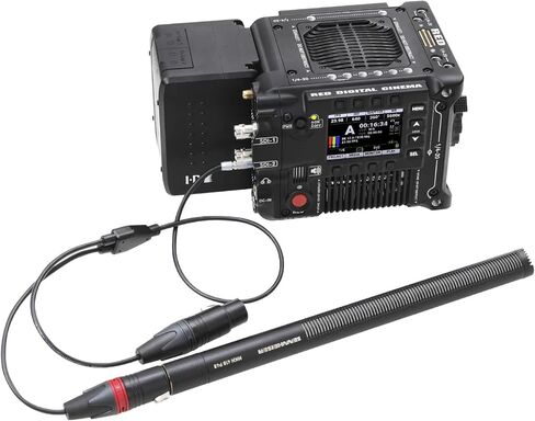 LANZYKU Dual XLR 3 Pin Female to 5 Pin Male Audio Input Cable for RED V-Raptor RED V-Raptor XL Arri Alexa Mini ZCAM -15 inches in Kuwait