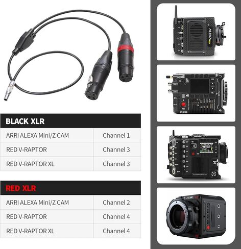 LANZYKU Dual XLR 3 Pin Female to 5 Pin Male Audio Input Cable for RED V-Raptor RED V-Raptor XL Arri Alexa Mini ZCAM -15 inches in Kuwait