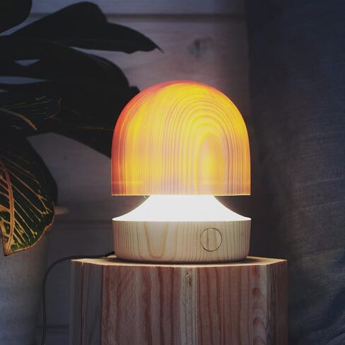 محول إمداد طاقة تيار متردد قابل للتعديل من لينينك، مجموعة استبدال البطارية لبطارية AA، استبدل 2AA 3AA 4AA 6AA 8AA (أسود، 1.8 متر/5.9 قدم) in Kuwait