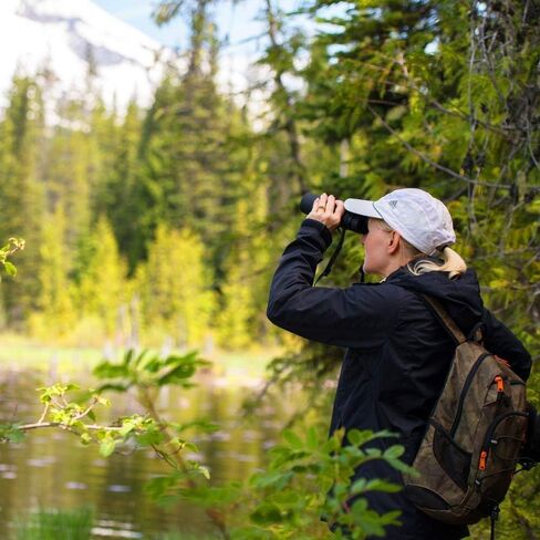 مجموعة مناظير نيكون 7573 PROSTAFF 5 12X50 ملم مع قلم عدسة نيكون وقطعة قماش للتنظيف Lumintrail in Kuwait