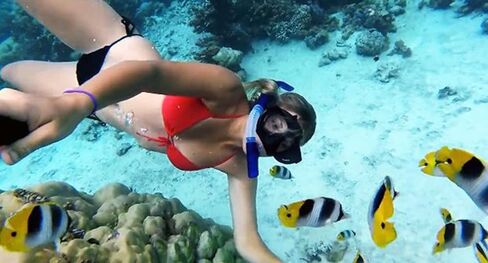 جراب Yimobra مقاوم للماء لهاتف Gopro Hero 4 3+ واقي 131FT/40M التصوير الفوتوغرافي تحت الماء بصورة البطل الشفاف (مقدم مرة واحدة أكثر) in Kuwait