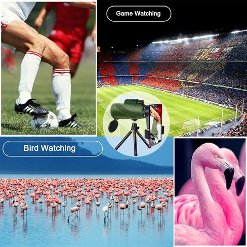 BLACKICE 40X60 Monocular Telescope High Power for Smartphone, Monocular for Adult with BAK-4 Prism for Hunting Wildlife Bird Watching Travel Camping Hiking in Kuwait