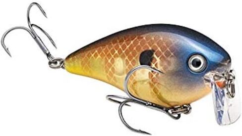 Strike King KVD 2 5 Wake Bait in Kuwait