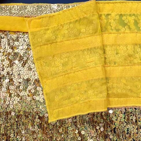 Clataly Belly Dance Sequined Tassel Skirt Hip Scarf Straps Wrap Rave Skirts Rave Music Festival Costume for Women Girls in Saudi Arabia