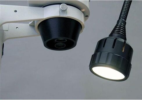 AmScope HL20 Microscope Goose Neck Halogen Illuminator in Saudi Arabia