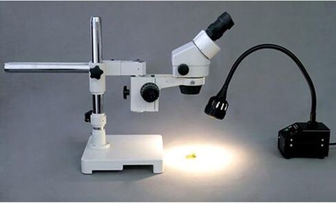 AmScope HL20 Microscope Goose Neck Halogen Illuminator in Saudi Arabia