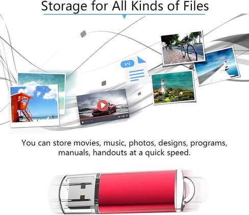 RAOYI 10 Pack 1GB 1G USB Flash Drive USB 2.0 Memory Stick Bulk Thumb Drive Pen Drive Blue in Kuwait