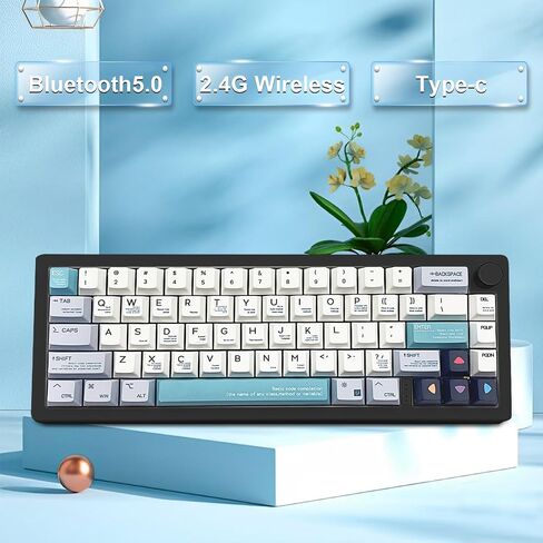 BOYI GMK67 Barebones Keyboard Kit,VIA Programmable Custom BT5.0/2.4GHz/Type-C Tri-Mode Gasket Mounted Hot Swap RGB 4000mAh Wireless 65% Mechanical Gaming Keyboard DIY Kit with Knob(White) in Saudi Arabia