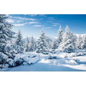 BELECO 7x5ft Fabric Winter Snow Forest Backdrop White Xmas Trees Wintry Scene Alps Photography Background for Christmas New Year Event Party Decorations Banner Holiday Photo Background Photo Props