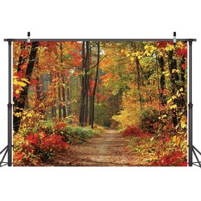 YWYGG 5x7ft Fall Photography Backdrops Autumn Scenery Deciduous Background Vinyl Deciduous Mountain Road Photography Backdrop Tree and Yellow Fall Leaves Background Studio Props CP-66
