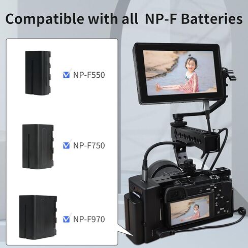 ANDYCINE Multi Function NP-F Battery Plate,Type-C PD Output Input,DC 8.4V,12.4V Power Output,Power System for Camera Related Accessories and Cellphone,Mobile Devices in Kuwait