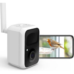 NETVUE Birdfy Lite - كاميرا تغذية الطيور الذكية، وحدة تغذية الطيور مع تطبيق للخارج، لاسلكي في الهواء الطلق، هدية عيد ميلاد للأب والأم (Camera Lite) in Kuwait