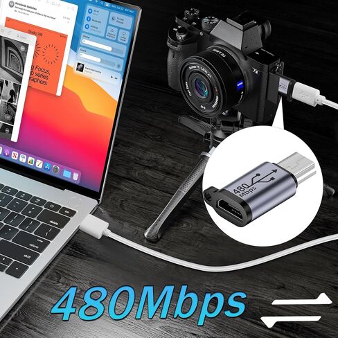 QIANRENON Mini USB Male to Micro USB Female Adapter Mini USB Plug to Micro USB2.0 Jack Charging Data Connector 480Mbps 18W 9V/2A, Al Alloy/Hook Hole, for Digital Camera MP3 Mobile Hard Drive, 2Pcs in Saudi Arabia
