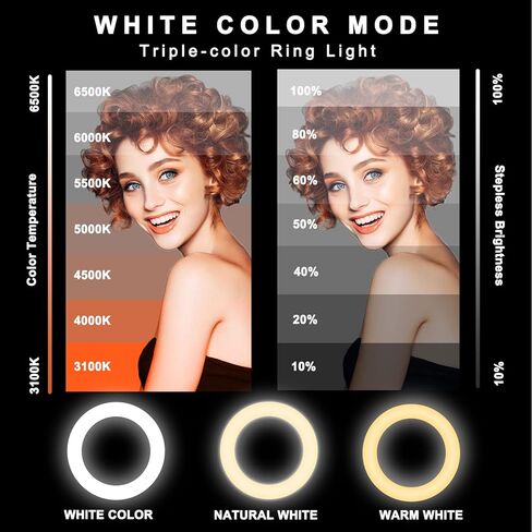 ضوء حلقة سيلفي مزدوج RGB مقاس 8 بوصات مع حامل وحامل هاتف، حامل إضاءة قابل للتمديد مقاس 76 بوصة و29 لونًا من مصابيح LED الدائرية المزدوجة لـ TikTok/البث المباشر/المكياج/يوتيوب in Kuwait