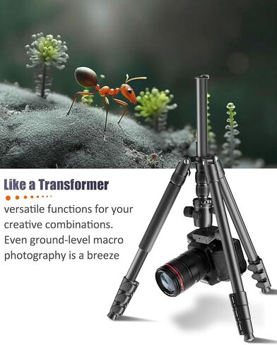CAMBOFOTO 80"/205cm Camera Tripod, Aluminum Ball Head Tripod for Camera | Travel Tripod with 1/4" QR plate, Detachable Monopod, 33Lbs Load, for DSLR/Camcorder/Binoculars/Telescope/Spotting Scope in Saudi Arabia