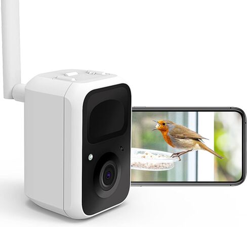 NETVUE Birdfy Lite - كاميرا تغذية الطيور الذكية، وحدة تغذية الطيور مع تطبيق للخارج، لاسلكي في الهواء الطلق، هدية عيد ميلاد للأب والأم (Camera Lite) in Saudi Arabia