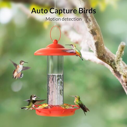 NETVUE Birdfy Lite - كاميرا تغذية الطيور الذكية، وحدة تغذية الطيور مع تطبيق للخارج، لاسلكي في الهواء الطلق، هدية عيد ميلاد للأب والأم (Camera Lite) in Saudi Arabia
