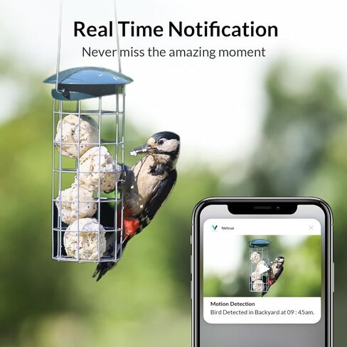NETVUE Birdfy Lite - كاميرا تغذية الطيور الذكية، وحدة تغذية الطيور مع تطبيق للخارج، لاسلكي في الهواء الطلق، هدية عيد ميلاد للأب والأم (Camera Lite) in Saudi Arabia