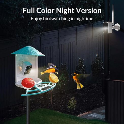 NETVUE Birdfy Lite - كاميرا تغذية الطيور الذكية، وحدة تغذية الطيور مع تطبيق للخارج، لاسلكي في الهواء الطلق، هدية عيد ميلاد للأب والأم (Camera Lite) in Saudi Arabia