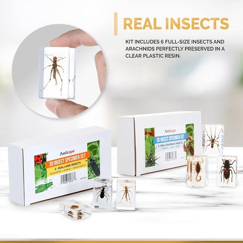 ام سكوب مجهر ستيريو محمول برأس بزاوية 20X-50X مع 6 قطع من مجموعات عينات الحشرات ثلاثية الأبعاد الفاخرة، كتاب الحشرات الجغرافية NAT وكاميرا رقمية اختيارية in Kuwait