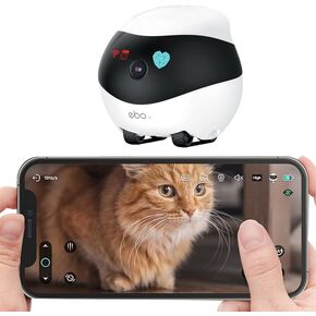 Rocon Ebo SE Pet Robot Camera, 2 Way Talk, Night Vision, App Remote Control, Indoor Security Camera, Movable Cam for Dog/Cat/Baby, SD Card in Saudi Arabia