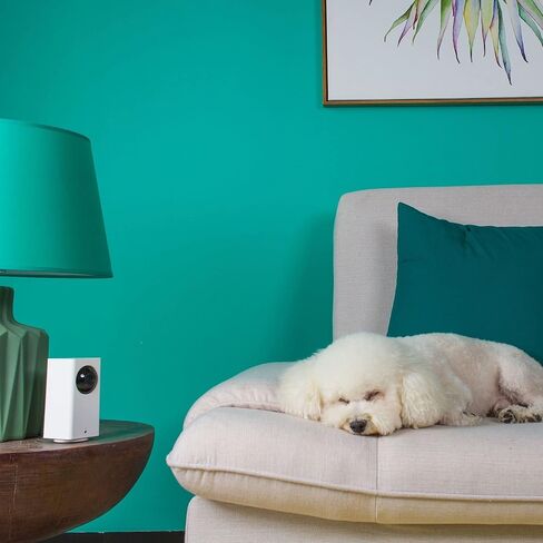 كاميرا Wyze Cam Pan 1080p Pan/Tilt/Zoom كاميرا منزلية ذكية داخلية مع بطاقة MicroSD سعة 32 جيجابايت من Wyze الفئة 10 in Kuwait