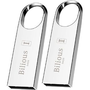 USB Flash Drive, Bilious Portable Keychain Design Thumb Drives Bulk 10 Pack, Metal Style Memory Stick U Disk, Waterproof Jump Pen Drive for Storage and Backup (4GB, 10 Pack)