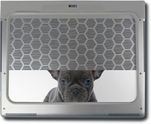 غلاف MightySkins اللامع المتوافق مع Alienware X16 R1 (2023) طقم التغليف الكامل - لهب غامض أخضر | لمسة نهائية لامعة واقية ومتينة شديدة اللمعان | سهل التطبيق | صنع في الولايات المتحدة الأمريكية in Kuwait