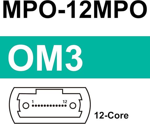 كابل 10Gtek MPO، متوافق مع NVIDIA MFP7E20-N010، OM4 MPO-12 APC (أنثى) إلى 2X MPO-12 APC (أنثى) كابل ألياف اندلاع MMF، النوع B LSZH، 10 أمتار in Kuwait