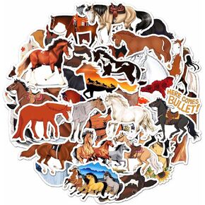 Adorable Parrot Stickers for Water Bottle,Waterproof Vinyl 50pcs Stickers for Laptop Computer Phone Bumper Skateboard Luggage Stickers for Teenager Kids Girls