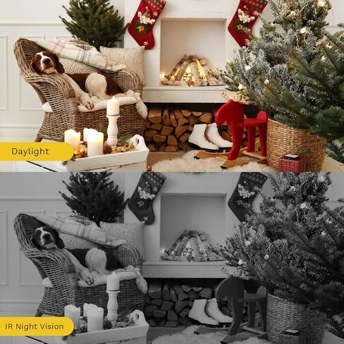 كاميرا مراقبة داخلية QSEE بدقة 2 ميجابكسل بدقة 1080 بكسل عالية الدقة للكلاب، وواي فاي 2.4 جيجا هرتز مع رؤية ليلية، وكشف الحركة، وتخزين بطاقة السحابة وبطاقة SD، وصوت ثنائي الاتجاه، والتحكم في تطبيق الهاتف، والمنزل الذكي in Kuwait