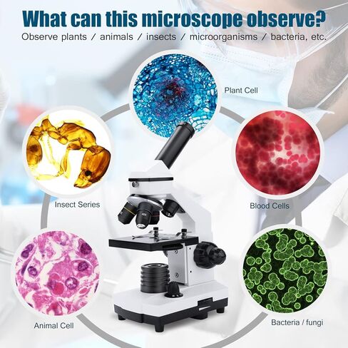 Microscopes 2000X for Adults, Kids, Powerful Children's Monocular Microscope, Biological Microscopes for Students in Kuwait