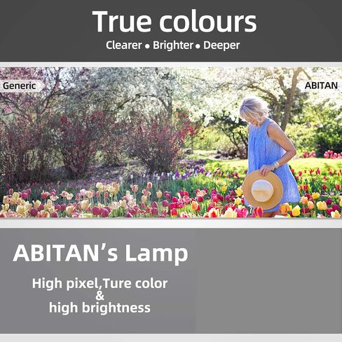 ABITAN NP16LP استبدال مصباح بروجيكتور ل NEC M300W M311W M300XS M260WS M361X M300XSG M350X العارض مع السكن in Kuwait