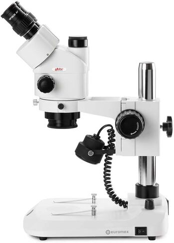 Trinocular Stereo Zoom Microscope Stereoblue, 0.7x To 4.5x Zoom Objective, Magnification 7x to 45x Ergonomically Pillar Stand with Incident And Transmitted LED Illumination, Globe Scientific | Euromex in Saudi Arabia
