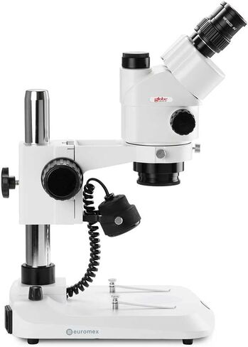 Trinocular Stereo Zoom Microscope Stereoblue, 0.7x To 4.5x Zoom Objective, Magnification 7x to 45x Ergonomically Pillar Stand with Incident And Transmitted LED Illumination, Globe Scientific | Euromex in Saudi Arabia