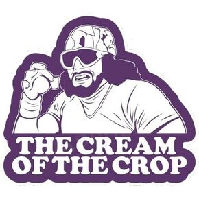 ملصقات Macho Man Randy Savage C.R.E.A.M، كريم سافاج الجمالي المضحك المقاوم للماء لأجهزة الكمبيوتر المحمول، جيتار زجاجة مياه للأمتعة كاملة الألوان للسيارة، ملصق كريم المحصول، أفكار هدايا مضحكة in Saudi Arabia