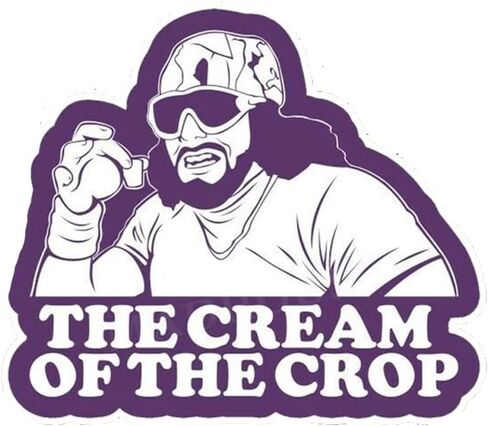 ملصقات Macho Man Randy Savage C.R.E.A.M، كريم سافاج الجمالي المضحك المقاوم للماء لأجهزة الكمبيوتر المحمول، جيتار زجاجة مياه للأمتعة كاملة الألوان للسيارة، ملصق كريم المحصول، أفكار هدايا مضحكة in Kuwait