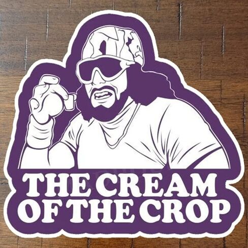 ملصقات Macho Man Randy Savage C.R.E.A.M، كريم سافاج الجمالي المضحك المقاوم للماء لأجهزة الكمبيوتر المحمول، جيتار زجاجة مياه للأمتعة كاملة الألوان للسيارة، ملصق كريم المحصول، أفكار هدايا مضحكة in Kuwait