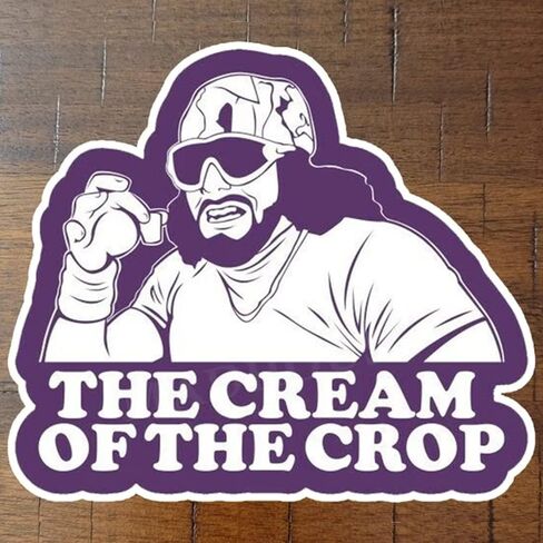 ملصقات Macho Man Randy Savage C.R.E.A.M، كريم سافاج الجمالي المضحك المقاوم للماء لأجهزة الكمبيوتر المحمول، جيتار زجاجة مياه للأمتعة كاملة الألوان للسيارة، ملصق كريم المحصول، أفكار هدايا مضحكة in Kuwait