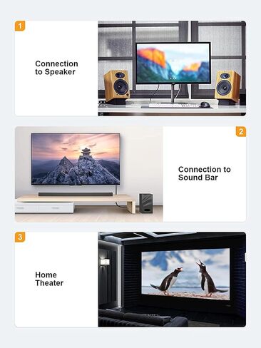كابل CableCreation RCA، 2RCA ذكر إلى 2RCA كابل مضخم صوت ستيريو متوافق مع مكبر الصوت، AMP، القرص الدوار، جهاز الاستقبال، المسرح المنزلي، مضخم الصوت، مزدوج الحماية، 10 أقدام/3M in Saudi Arabia