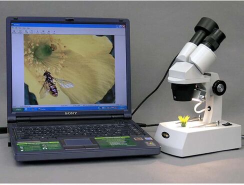 AmScope SE305-AX مجهر ستيريو ثنائي العينين، عدسات WF5x وWF10x، تكبير 5X/10X/15X/30X، أهداف 1X و3X، إضاءة هالوجين علوية وسفلية، لوحة مسرح سوداء/بيضاء قابلة للعكس، حامل ذراع، 120 فولت in Saudi Arabia