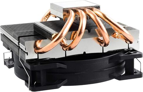 بي كوايت Bk002 شادو روك ال بي سي بي كوهلر/بروزيسورلوفتر شوارز in Kuwait