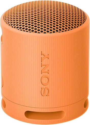 Sony SRS-XB100 Wireless Bluetooth Portable Travel Speaker Bundle (Gray) in Kuwait