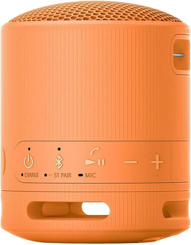 Sony SRS-XB100 Wireless Bluetooth Portable Travel Speaker Bundle (Gray) in Kuwait