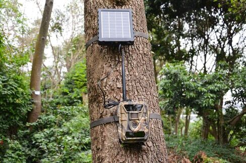 كابل طاقة وينج هوم 12 فولت، قابس ذكر إلى ذكر 4.0x1.7 ملم in Kuwait