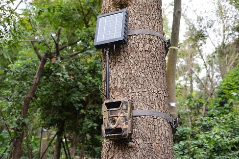 كابل طاقة وينج هوم 12 فولت، قابس ذكر إلى ذكر 4.0x1.7 ملم in Kuwait