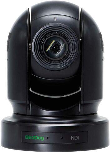 BirdDog Eyes P200 1080p Full NDI PTZ Camera (Black) with Kopul 3G-SDI Cable (50 ft) & 10-Pack Fastener Straps Bundle in Kuwait