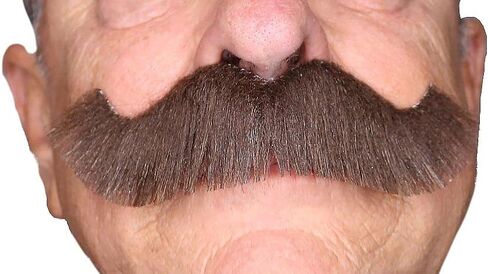 Fake Mustache, Self Adhesive Mustaches, Novelty, Rocking Grandpa's False Facial Hair, Costume Accessory for Adults in Kuwait