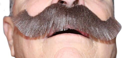 Fake Mustache, Self Adhesive Mustaches, Novelty, Rocking Grandpa's False Facial Hair, Costume Accessory for Adults in Kuwait